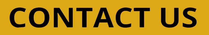 886x150 Image To Vector Conversion Services Bitmap To Vector Services