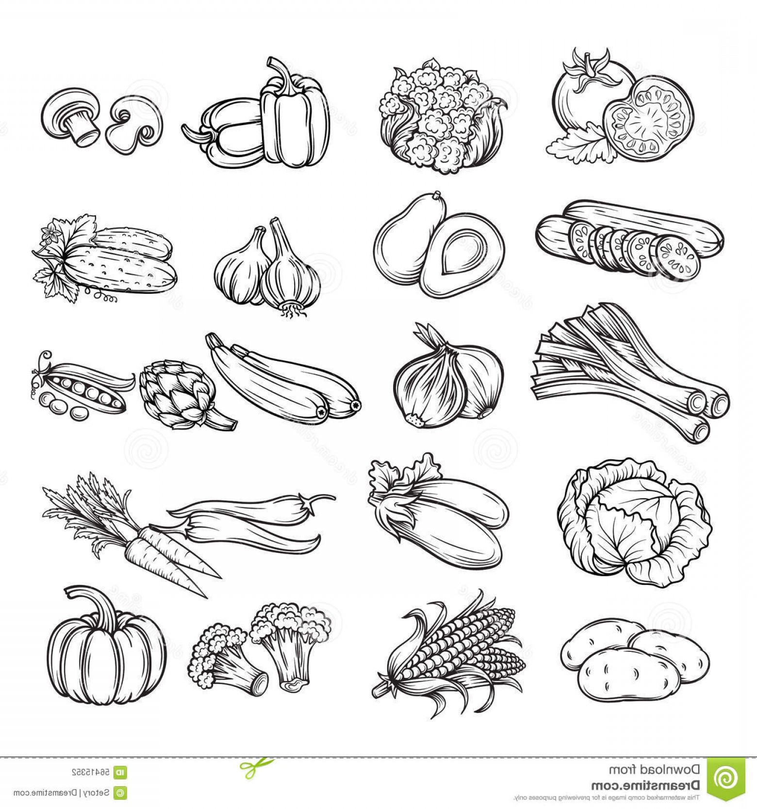 1560x1668 Vegetable Vector Black Hoodamathrun