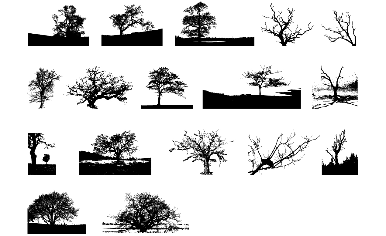 1270x778 Adobe Illustrator Tree Vector Pack