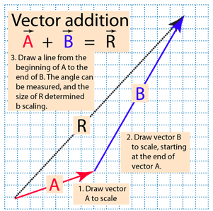 301x298 Basic Vector Operations