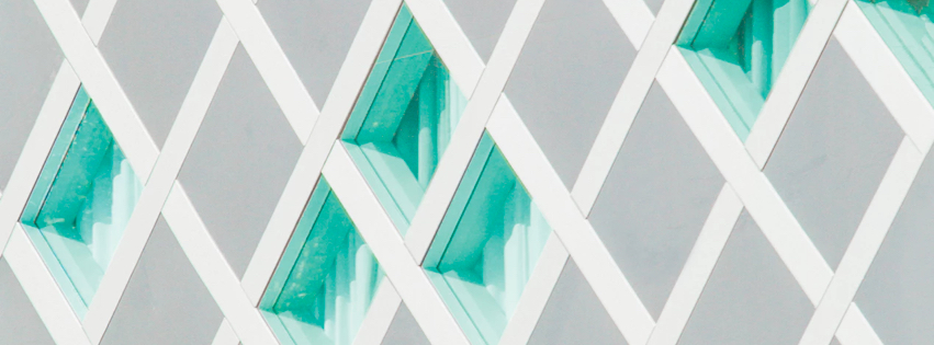 851x315 Vector Software, Inc Marketing Programs Services