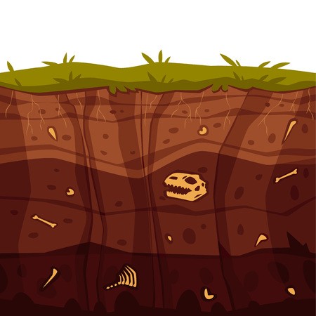 450x450 Vector Soil Ground Layers With Grass, Underground Fossil Dinosaur