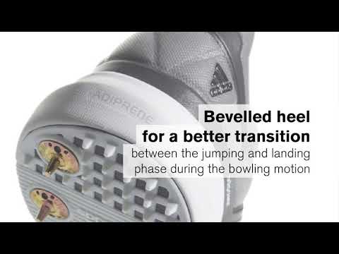 480x360 Vector Songs Shoes Download Review Adidas Cricket Adipower