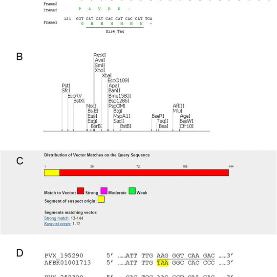 567x567 Cloning Vector Source Sequence Contamination In Plasmodb