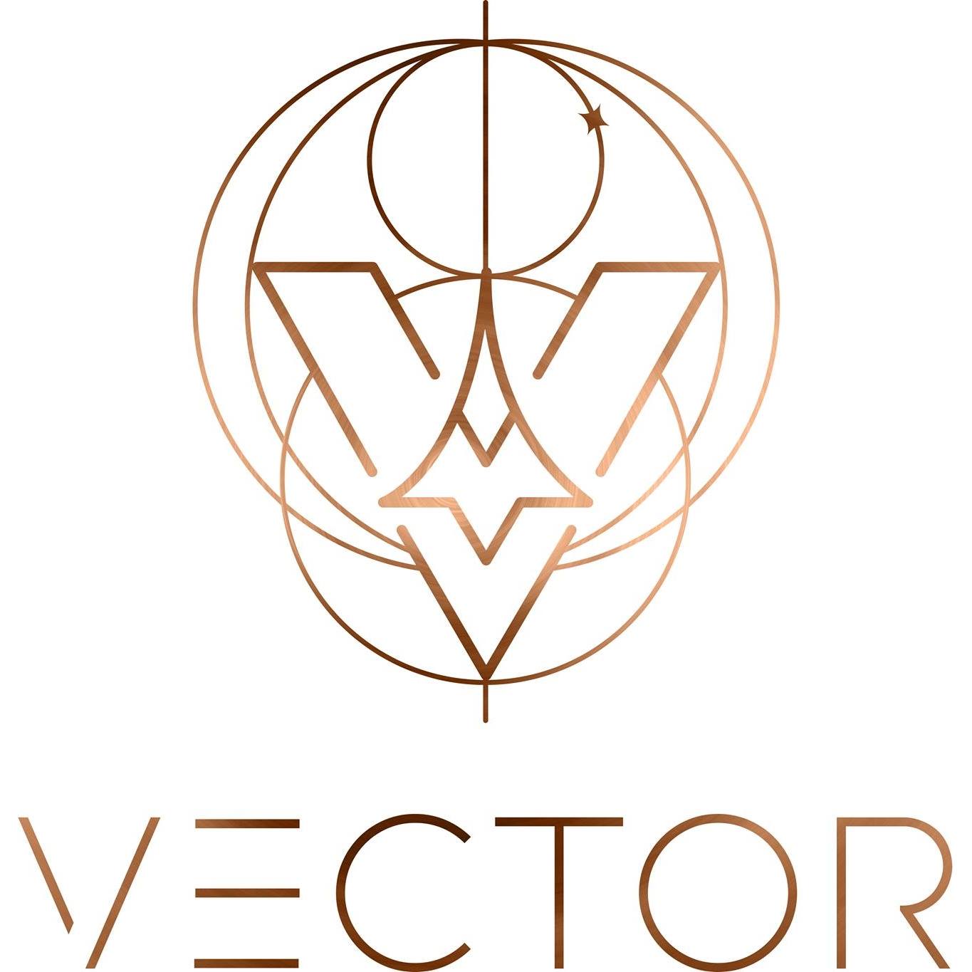 1365x1365 New Vector Space Systems Logo Vectorspace