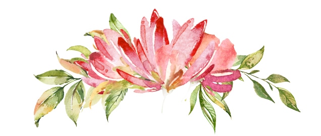 636x270 X Flower Vector Spokane Birth Photographer, Gift Registries