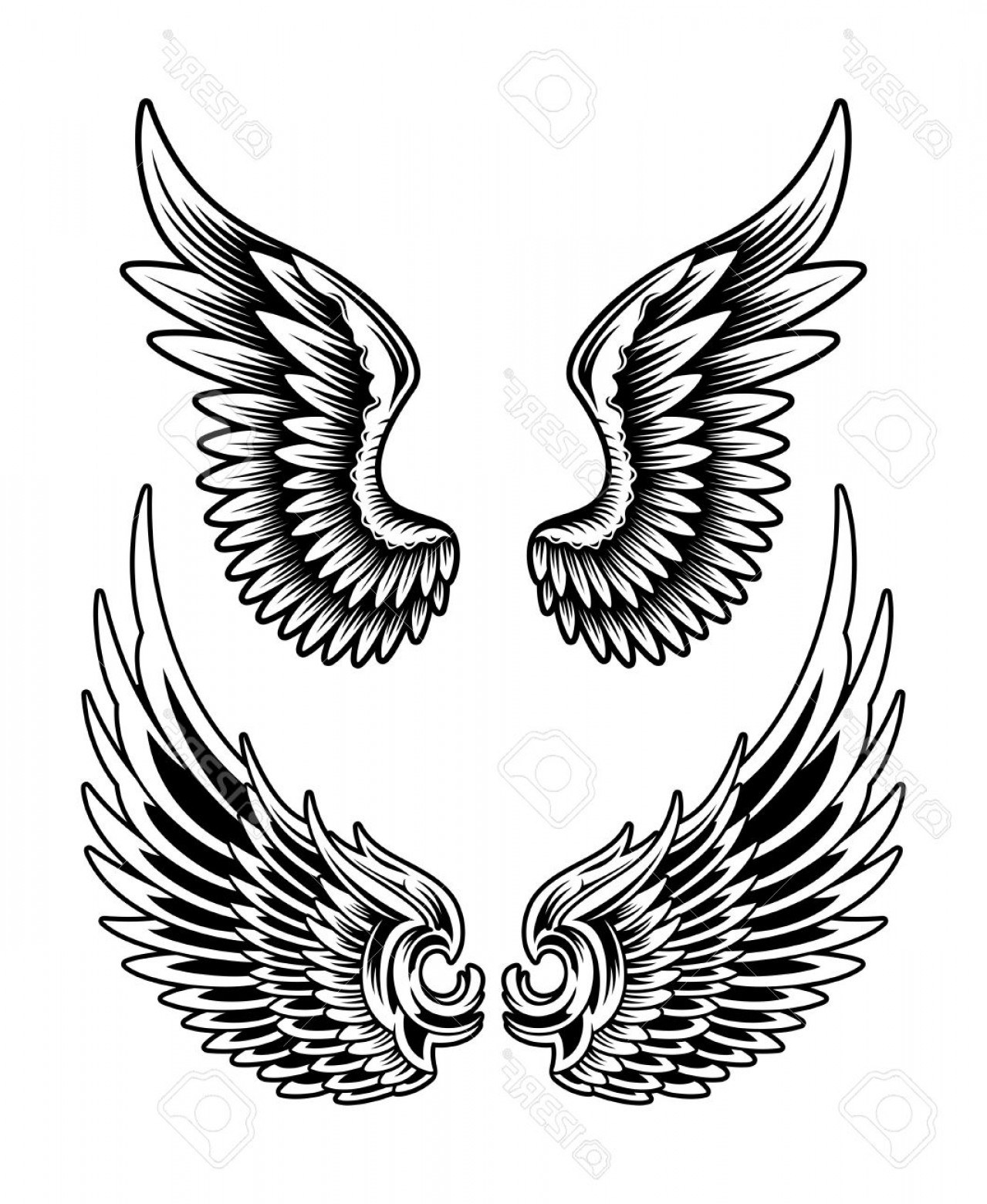 Photoeditable Vector Illustration Of Spread Wing Set Usefull 1279x1560 Photoeditable Vector Illustration Of Spread Wing Set Usefull