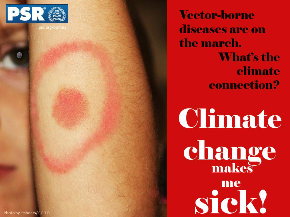 Climate Postcards Vector Borne Disease 960x720 Climate Postcards Vector Borne Disease