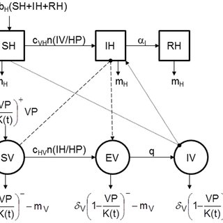 Conceptual Model Of The Spread Of A Vector Borne Pathogen During 320x320 Conceptual Model Of The Spread Of A Vector Borne Pathogen During
