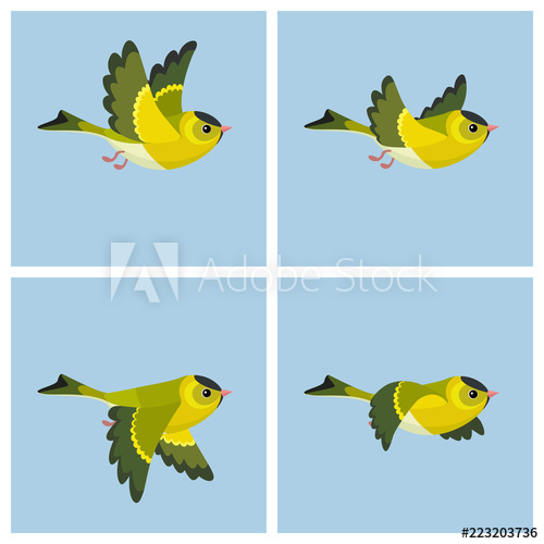 500x500 Flying European Siskin