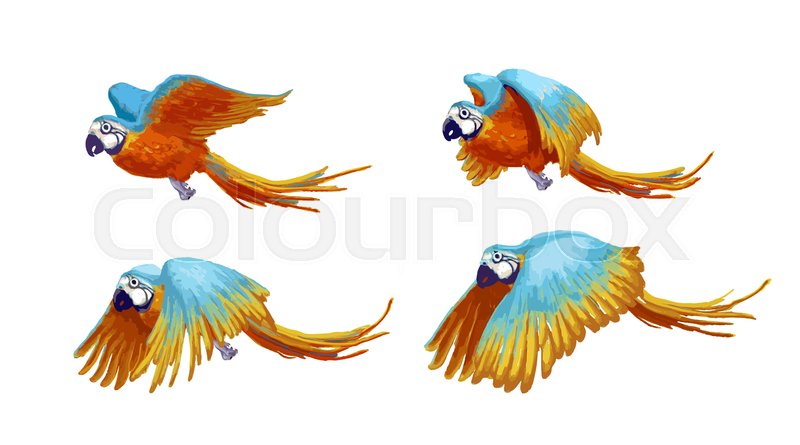 800x445 Sprite Sheet Of Flying Parrot, Game Stock Vector Colourbox