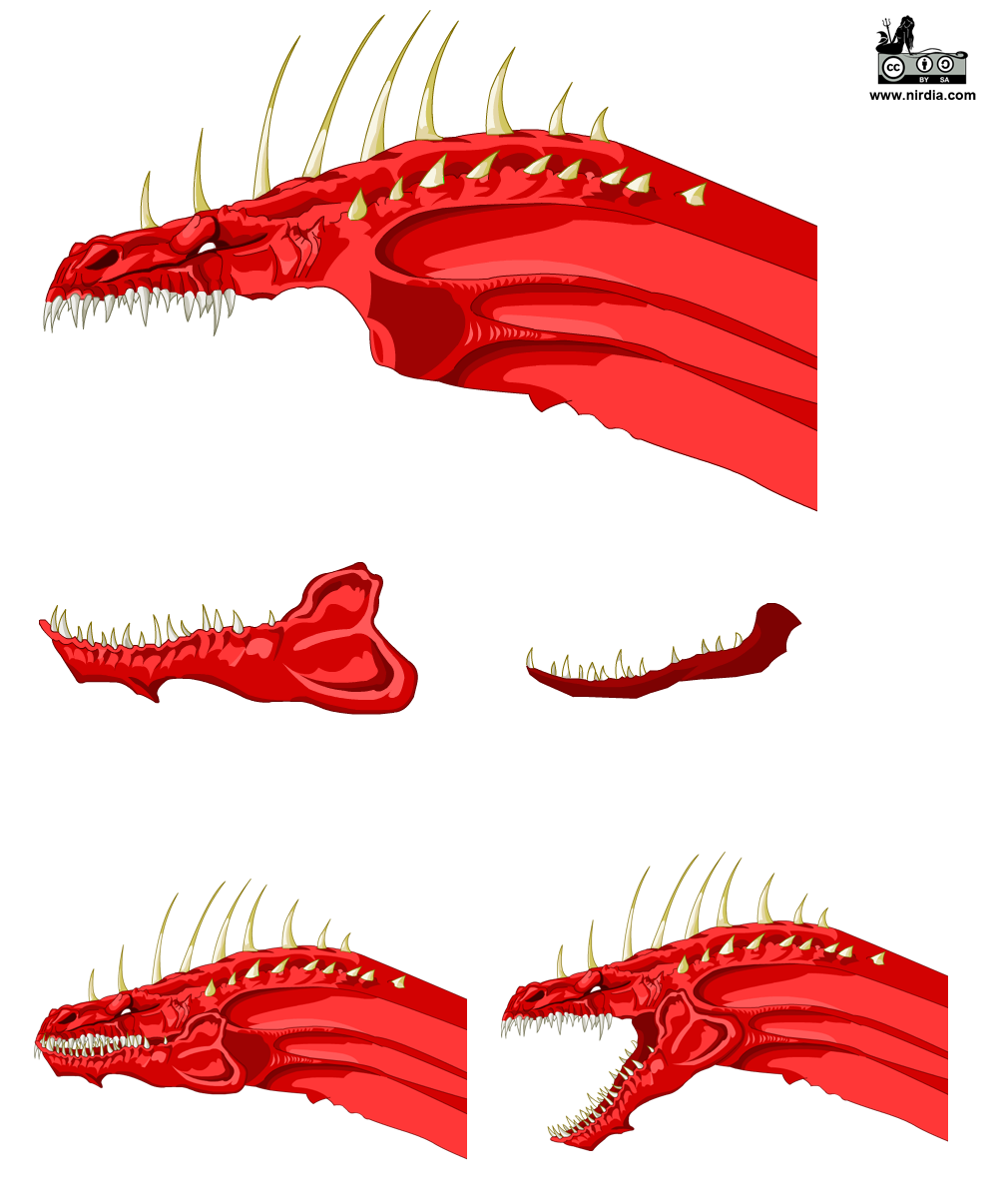 1000x1206 Nirdia Entertainment