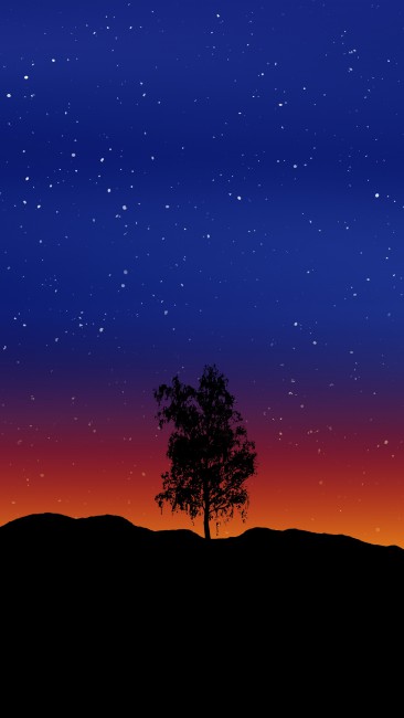 366x650 Tree Art Lonely Vector Starry Sky
