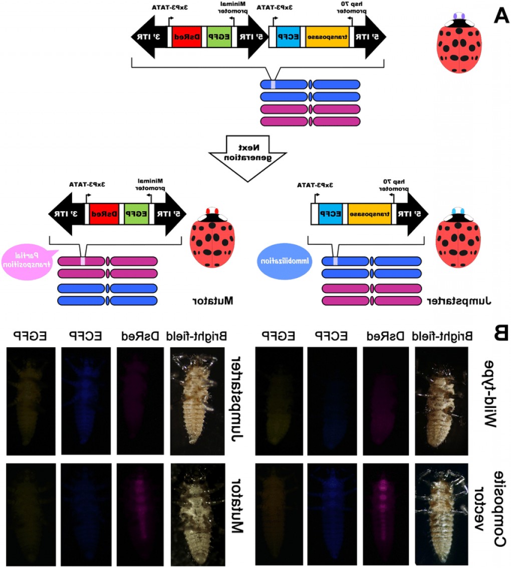 1020x1132 Vector Start It Jump Starter Models Geekchicpro