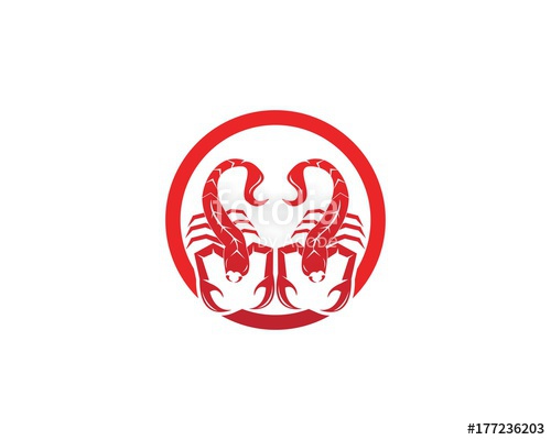 Scorpion Logo Design Vector Stock Image And Royalty Free Vector 500x400 Scorpion Logo Design Vector Stock Image And Royalty Free Vector