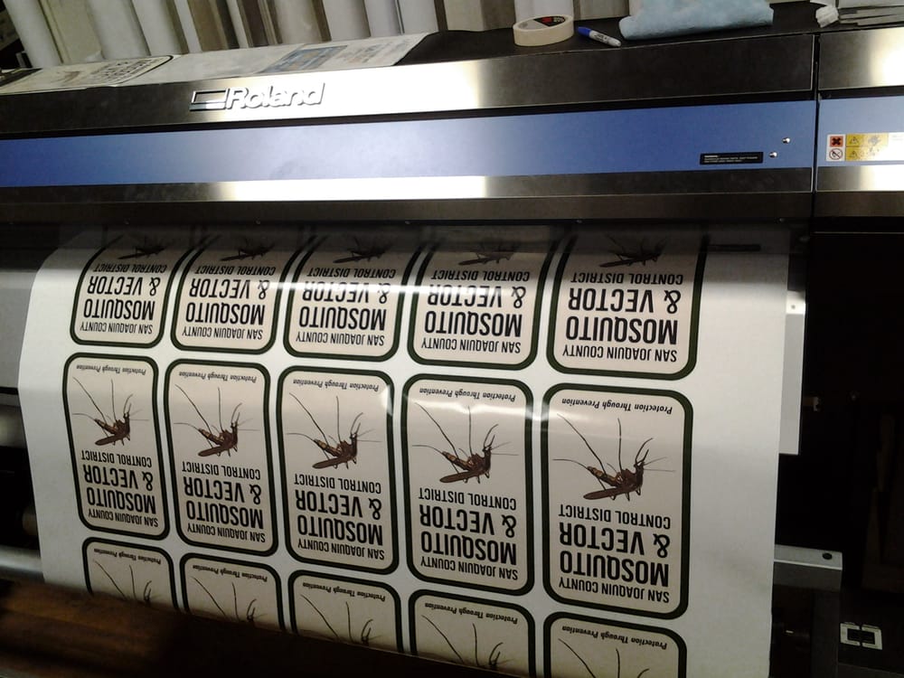 1000x750 Vehicle Decals