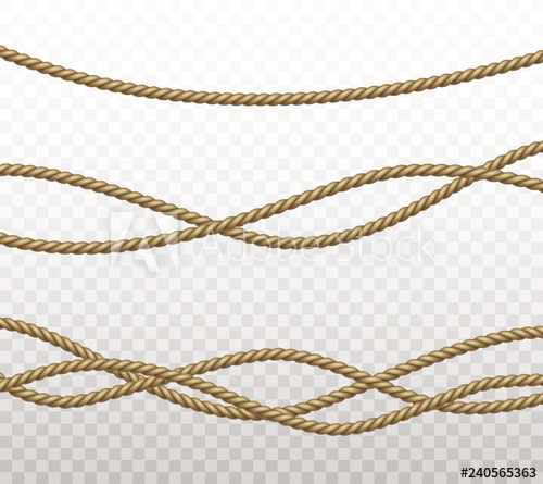 500x445 Rope Set Isolated On Transparent Background Vector Realistic