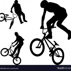 300x300 Bmx Stunt Cyclists Silhouettes Vector Wallkeeper