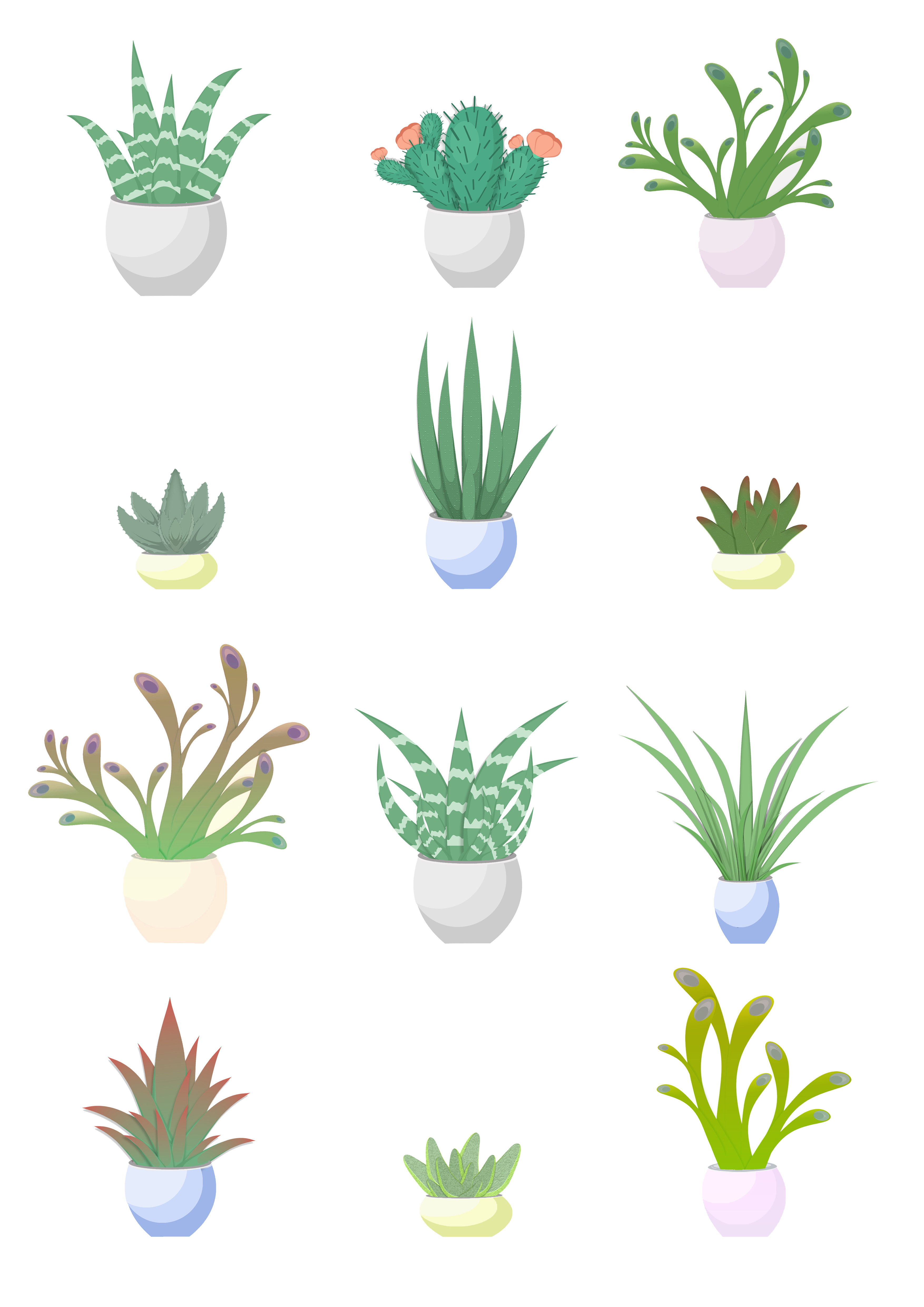 Vector Succulent