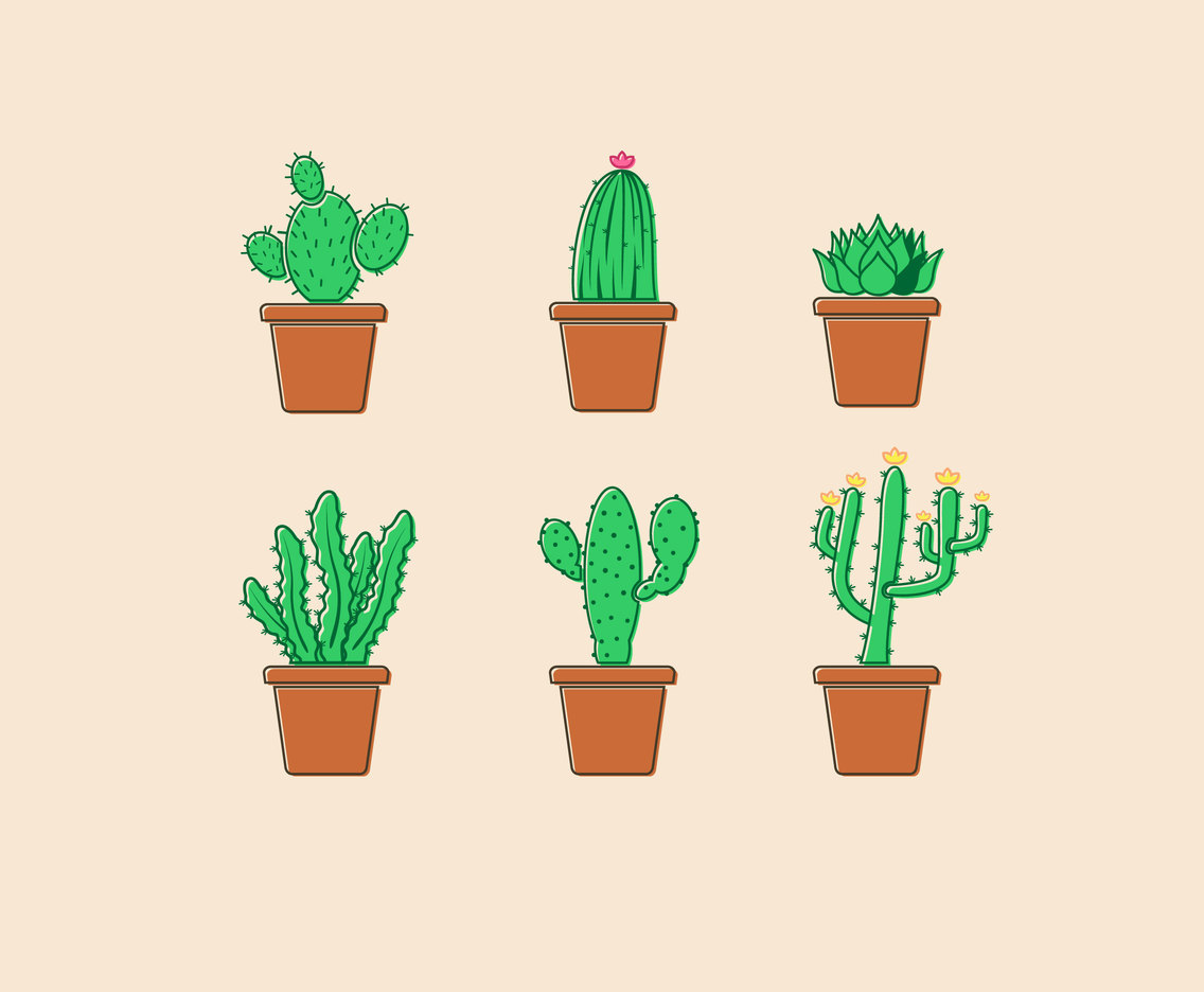 1136x936 Potted Succulent Vector Vector Art Graphics