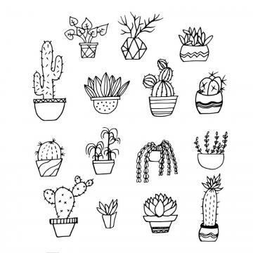 360x360 Succulent Png, Vector, And Clipart With Transparent