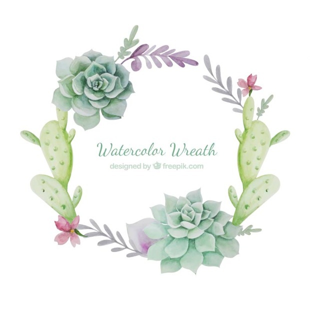 626x626 Succulent Vectors, Photos And Free Download
