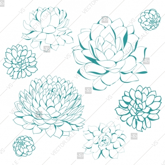 540x540 Succulent Flowers Plant Clip Art Sketch