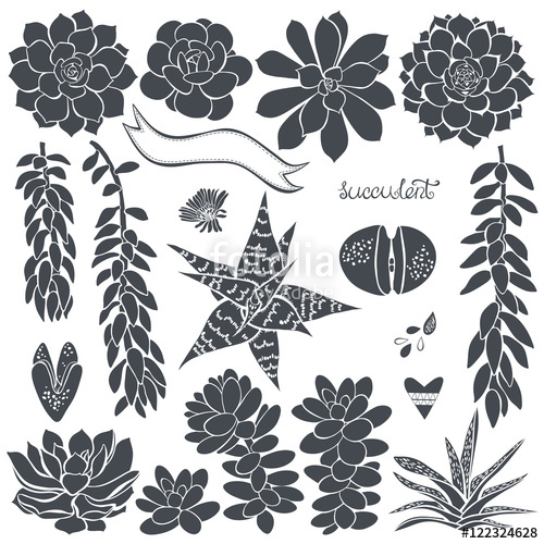 500x500 Succulents Vector Set Of Different Silhouettes Succulents