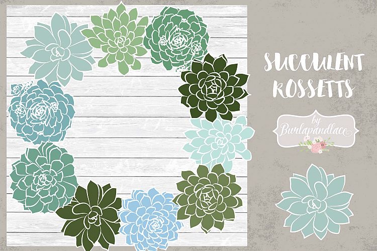 750x500 Vector Succulent Rosettes