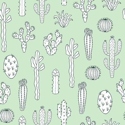 416x416 Cactus Seamless Nature Vector Succulent Background Premium Clipart