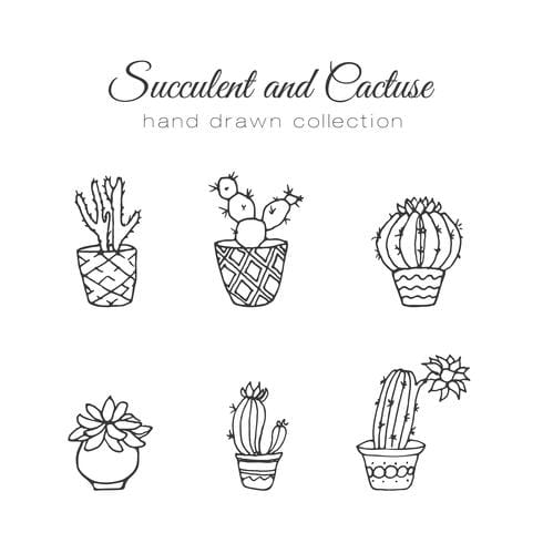 490x490 Cactus Illustration Vector Succulent And Cacti Hand Drawn Set