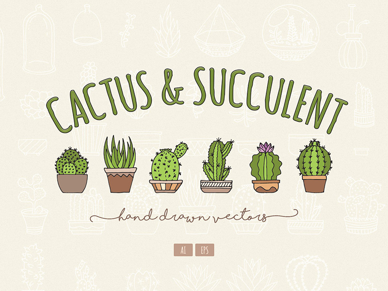 800x600 Hand Drawn Cactus Succulent Vectors