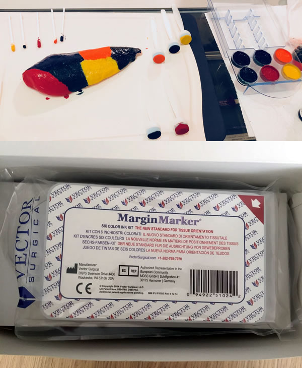 600x730 Vector Surgical