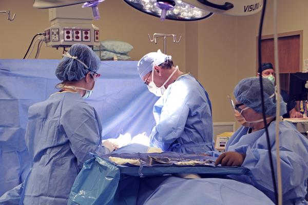 600x400 Secure And Accurate Surgical Margin Designation Vector Surgical