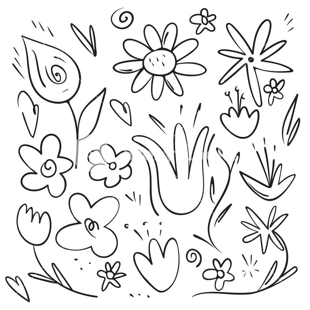 1000x1000 Vector Hand Drawn Collection Of Curly Swishes, Swashes, Swoops