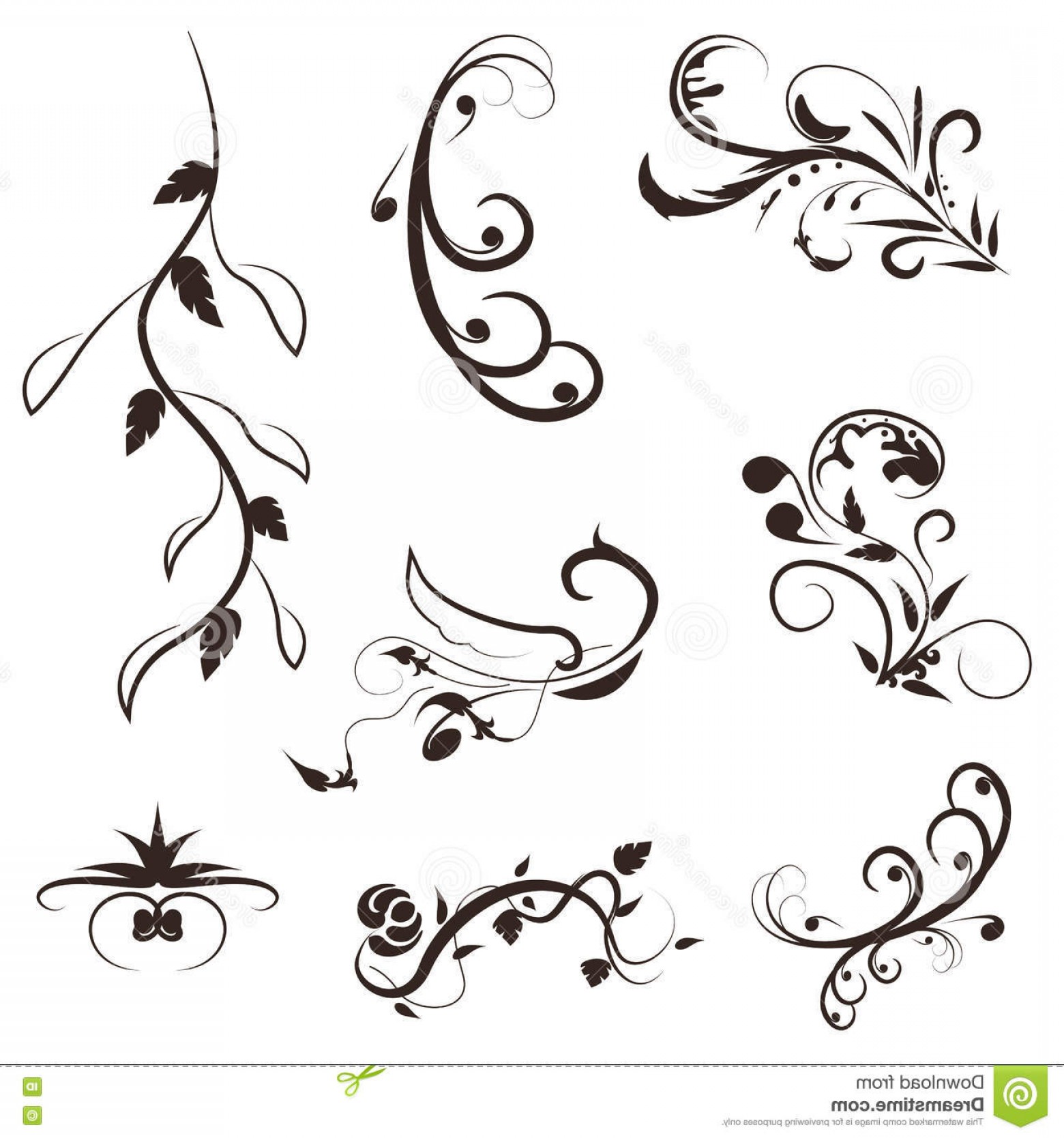 Stock Illustration Flower Leaves Vector Swirl Line Design Floral 1560x1668 Stock Illustration Flower Leaves Vector Swirl Line Design Floral