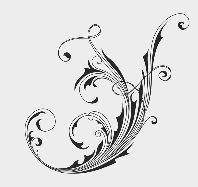 Vector Swirls Illustrator