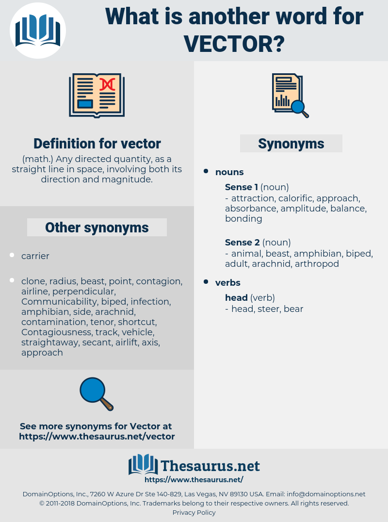 800x1076 Synonyms For Vector