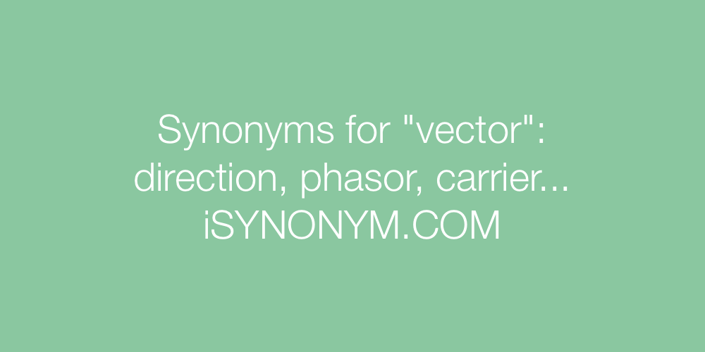 1000x500 Synonyms For Vector Vector Synonyms