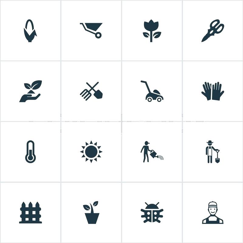 800x800 Gardener Synonym