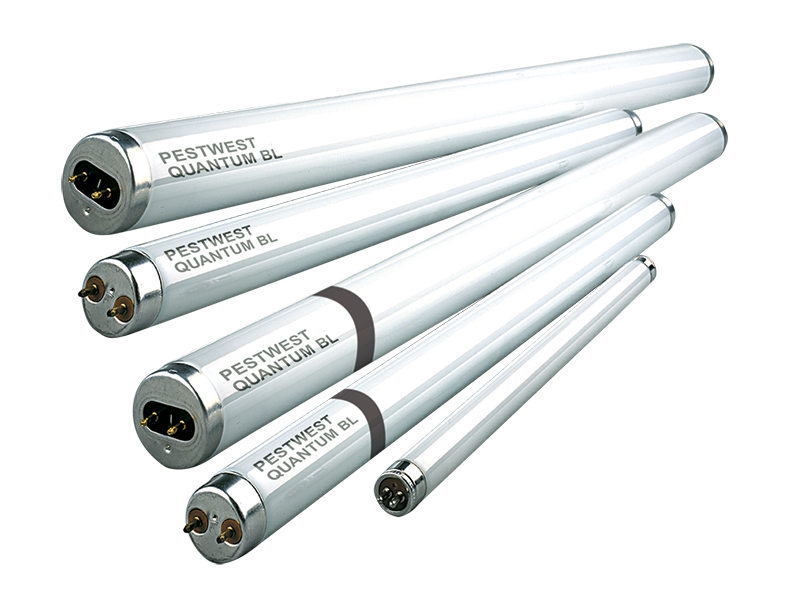 Vector System Bug Light at Vectorified.com | Collection of Vector