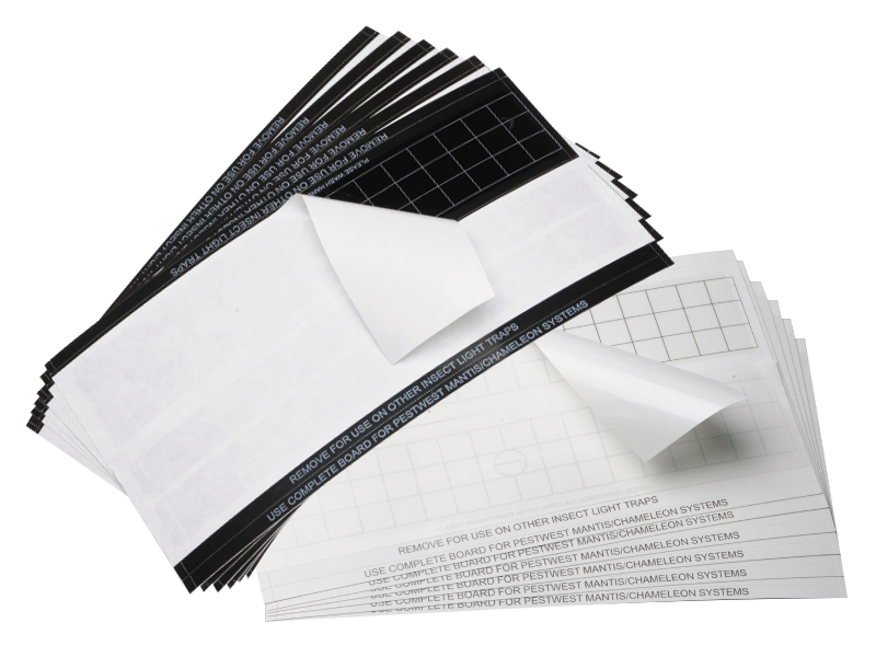 800x600 Day Replacement Universal Glue Boards For Insect Light Systems