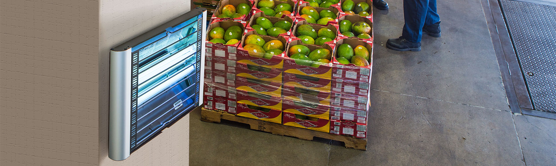 1920x576 Insect Light Fly Trap