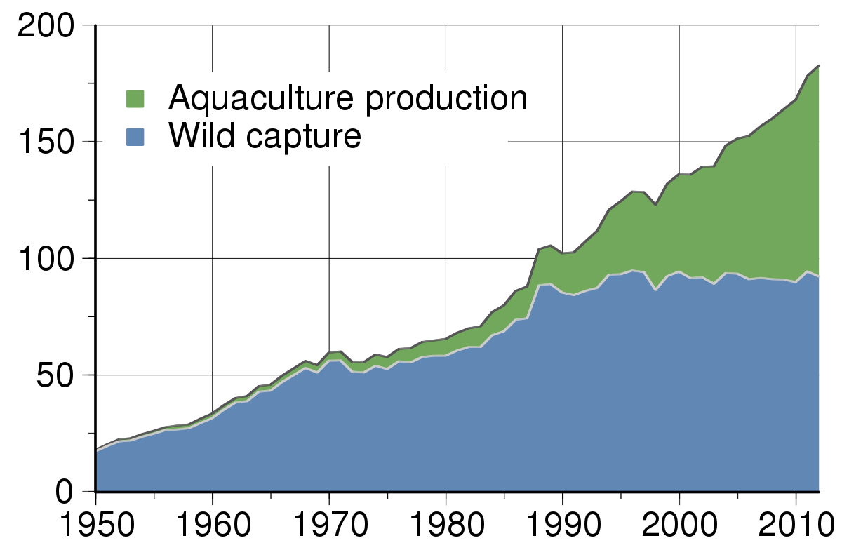 1200x784 World Fisheries Production