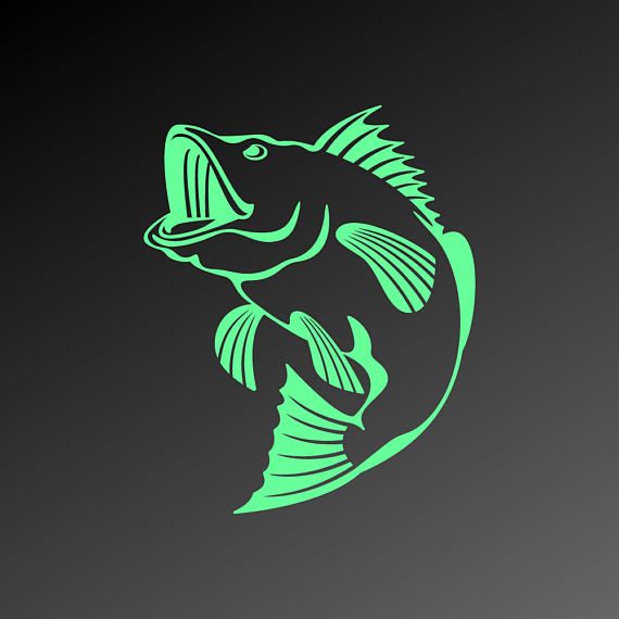 570x570 Bass Fish Fishing Files, Bass Vector