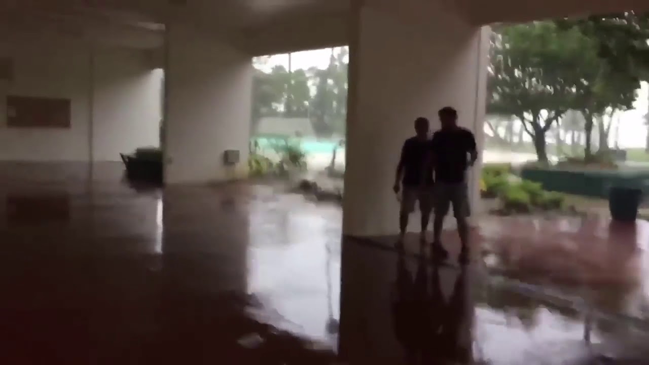 1280x720 Vector Talent Resources Is United For Puerto Rico