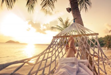 388x263 Staffing And Recruiting Archives Vector Talent Resources