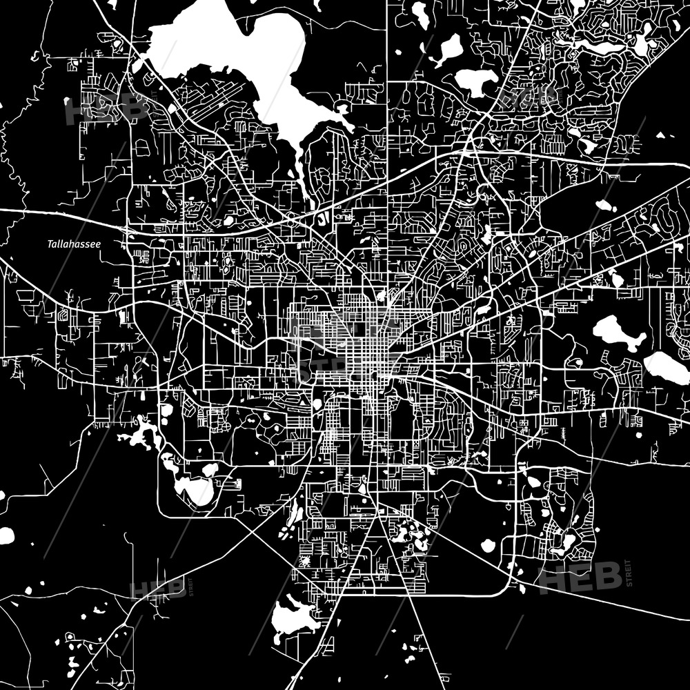 1000x1000 Tallahassee, Florida, Downtown Map, Dark Hebstreits Sketches