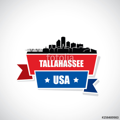 500x500 Tallahassee Skyline