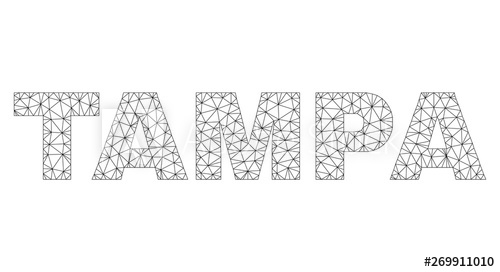 500x272 Mesh Vector Tampa Text Abstract Lines And Spheric Points Form